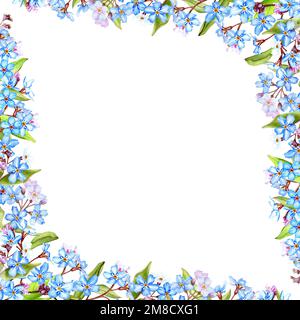 Vergessen-mich-nicht-Blumen Rahmen, handgemalte Aquarell-Illustration isoliert auf Weiß Stockfoto