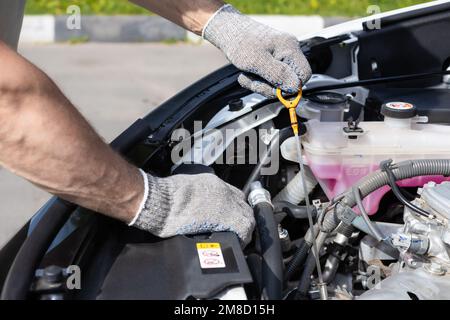 Der Fahrer prüft den Ölstand im Fahrzeugmotor. Master hält Ölmessstab. Handgehaltener Ölmessstab. Motorölstand prüfen Stockfoto