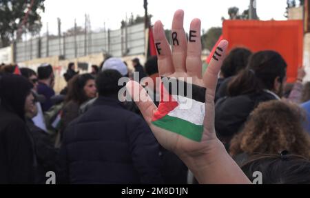 JERUSALEM, ISRAEL - JANUAR 13: Eine israelische linksgerichtete Aktivistin erhebt ihre Hand, gemalt mit den Farben der palästinensischen Flagge und geschrieben "frei" während einer Demonstration von israelischen linksgerichteten Aktivisten und Palästinensern gegen israelische Besetzung und Siedlungsaktivitäten im Viertel Scheich Jarrah am 13. Januar 2023 in Jerusalem, Israel. Der israelische nationale Sicherheitsminister Itamar Ben-Gvir hat die Polizei angewiesen, palästinensische Flaggen von öffentlichen Orten aus zu verbieten. Kredit: Eddie Gerald/Alamy Live News Stockfoto