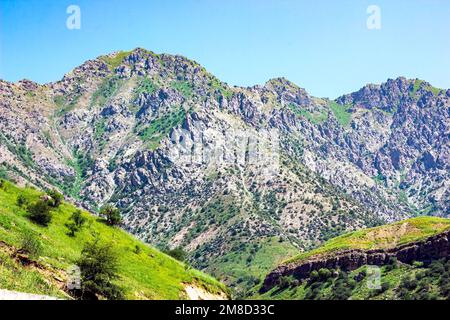 Hohe Berge mit grünem Gras und Bäumen am blauen Himmel an einem Sommertag. Wunderschöne ruhige Landschaft mit Bergen und Hügeln ohne Stockfoto