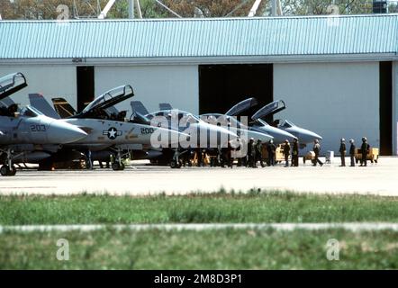 Wartungsteams versammeln sich vor einer Reihe von Kampfgeschwader 32 (VF-32) F-14A Tomcat-Flugzeugen, während die beiden mittleren Flugzeuge auf die Fluglinie warten. Basis: Marineflugstation, Oceana Bundesstaat: Virginia (VA) Land: Vereinigte Staaten von Amerika (USA) Stockfoto