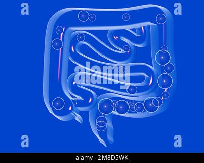 3D-Kristalldarstellung des Verdauungssystems mit Gasen im Dickdarm und Dünndarm. Transparente Vorderansicht, Ausschnitt auf blauem Hintergrund. Stockfoto