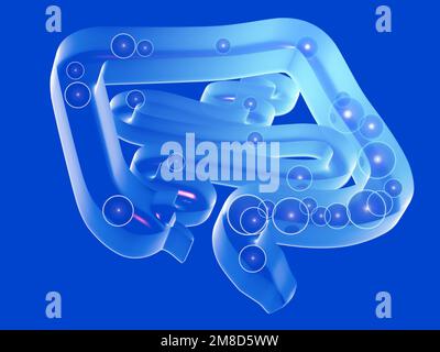 3D-Kristalldarstellung des Verdauungssystems mit Gasen im Dickdarm und Dünndarm. Draufsicht lehnt sich auf den Boden, ausgeschnitten auf blauem Hintergrund Stockfoto