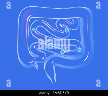 3D-Kristalldarstellung des Verdauungssystems mit Gasen im Dickdarm und Dünndarm. Transparente Vorderansicht, Ausschnitt auf blauem Hintergrund. Stockfoto