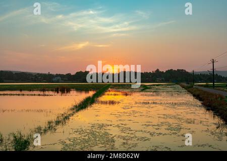 Wunderschöner Sonnenuntergang mit dem Licht, das auf dem Feld reflektiert wird. Stockfoto