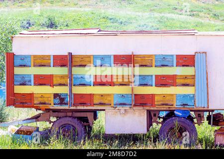 Viele Bienenstöcke im Auto (Imkereiwagen) auf dem Bauernhof am sonnigen Sommertag. Stockfoto