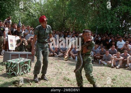 Mitglieder von 4. Mrd., 22. Inf., 25. Inf. Div (Licht) beobachten Sie, wie ein Royal Thai Army Instructor eine Methode zur Entfernung einer einengenden Schlange demonstriert. Die 25. Soldaten der Infanterie-Division sind in Thailand für die kombinierte Thai/US-Übung Cobra Gold '90. Betreff Operation/Serie: COBRA GOLD '90 Basis: Chon Buri Land: Thailand (THA) Stockfoto