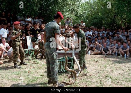 Mitglieder von 4. Mrd., 22. Inf., 25. Inf. Div (Licht), beobachten Sie, wie zwei Royal Thai Army Instruktoren zwei Arten von gefährlichen Schlangen zeigen, die in Thailand gefunden wurden. Die 25. Soldaten der Infanterie-Division sind in Thailand für die kombinierte Thai/US-Übung Cobra Gold '90. Betreff Operation/Serie: COBRA GOLD '90 Basis: Chon Buri Land: Thailand (THA) Stockfoto