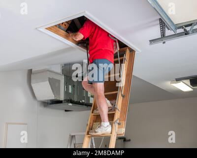 Ein Mann, der den Dachboden inspiziert. Männlicher Hauseigentümer, der auf Holz klettert und die Dachbodenleiter herunterzieht. Stockfoto