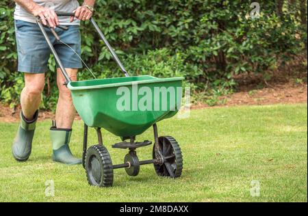 Mann sät und düngt Rasen im Hinterhof mit manuellem Grassaatstreuer. Stockfoto