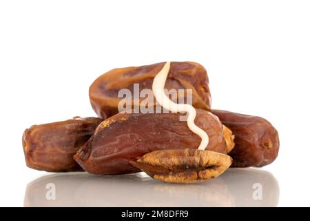 Gezüchtete Dattelsteine und drei trockene Datteln, Makro, isoliert auf weißem Hintergrund. Stockfoto