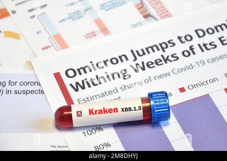 Blutröhrchen zum Testnachweis der Virus Covid-19 Kraken Variante auf Papierdokumenten. Konzept für die neue Variante des Virus SARS-CoV-2 Kraken Stockfoto