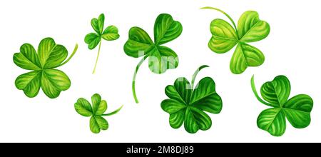 Aquarell, handgezeichnet, vierblättriges Kleeblatt und Shamrock, Set für St. Patricks Tag für Viel Glück. Element auf weißem Hintergrund isoliert. Stockfoto