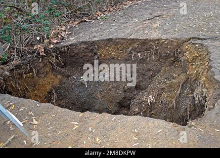 Sturmschaden-Pfad im Dry Creek Regional Park, Union City, Kalifornien Stockfoto