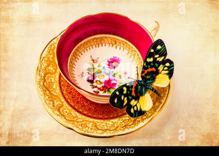 Schmetterling Auf Teetasse Stockfoto