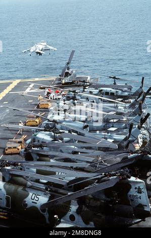 Ein Marine Corps AV-8B Harrier-Flugzeug startet während der Operation Desert Shield vom Flugdeck des Amphibienschiffs USS NASSAU (LHA-4). Am Rand des Cockpits befinden sich zwei Marine Medium Helicopter Squadron 365 (HMM-365) CH-46E Sea Knight Helicopters und mehrere AH-1T Sea Cobra Helicopters und UH-1N Iroquois Helicopters vom Marine Utility/Attack Squadron 269 (HML/A-269). Betroffene Operation/Serie: WÜSTENSCHILDLAND: Golf von Oman Stockfoto