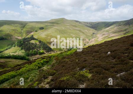 Kinder Scout aus dem nahe gelegenen Ring Roger, Edale - The Peak District National Park, England, Großbritannien Stockfoto