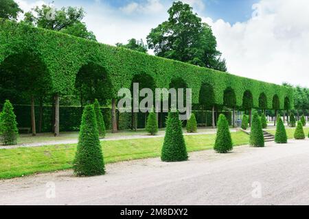 Schöne Allee im Park. Stockfoto