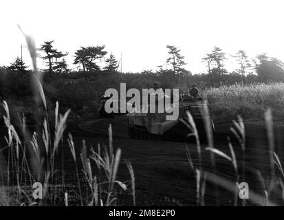 Zwei AAVP-7A1-Amphibienfahrzeuge des 2. Amphibienbataillons bewegen sich auf einer Straße auf dem Weg zu einem Schießstand. Basis: Marinekorps-Basis, Camp Fuji Staat: Honshu Land: Japan (JPN) Stockfoto