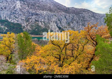 Fluss Cetina, Omiš und Berge in Kroatien. Kroatische Naturlandschaft. Dezember an der Adriaküste. Stockfoto