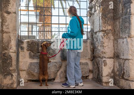 Ein junges Mädchen mit einem Dackel-Hund, der vom Fenster des Diokletianpalastes auf den Damm schaut. Alte Mauern der Altstadt von Split, Kroatien. Stockfoto