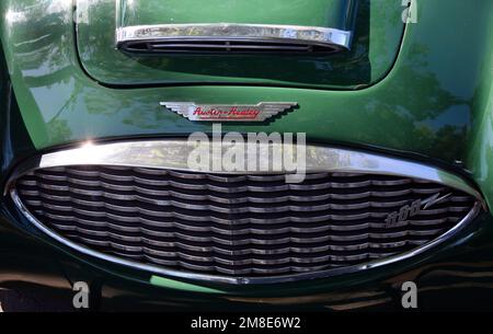 Austin-Healey-Sportwagen-Frontgrill, aufgesetztes Abzeichen Stockfoto