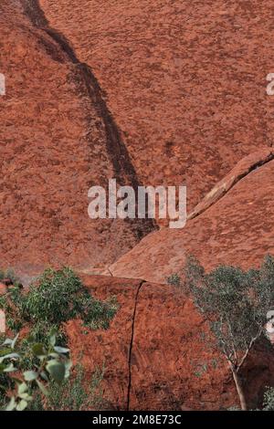 406 mit dunklen Algen markierter fallender Wasserkanal in der Gegend um den Uluru-Ayers Rock Mala Puta, von der Fußgängerunterseite Mala aus gesehen. NT-Australien. Stockfoto