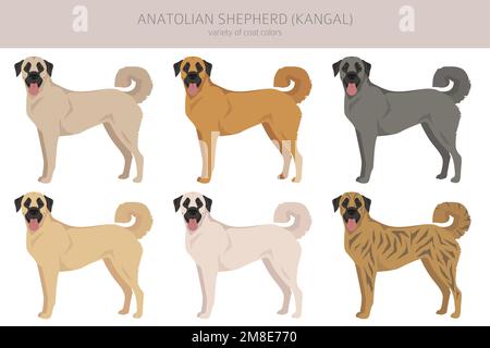 Anatolischer Schäferhund alle Farben Cliparts. Verschiedene Fellfarben und Posen eingestellt. Vektorgrafik Stock Vektor