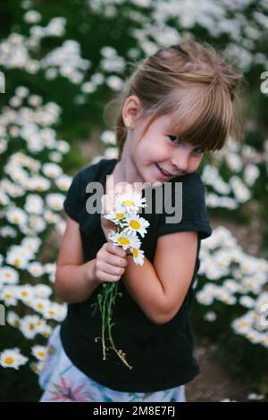 Ein Mädchen lächelt mit weißen und gelben Gänseblümchen im Blumenfeld Stockfoto