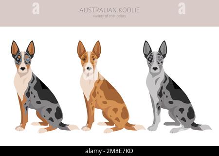 Australischer Koolie Clipart. Verschiedene Posen, Fellfarben eingestellt. vektorgrafik Stock Vektor