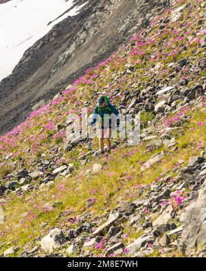 Person, Frau, die im Sommer im Yukon Territory, Kanada wandert. Stockfoto