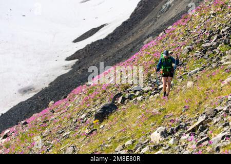 Person, Frau, die im Sommer im Yukon Territory, Kanada wandert. Stockfoto