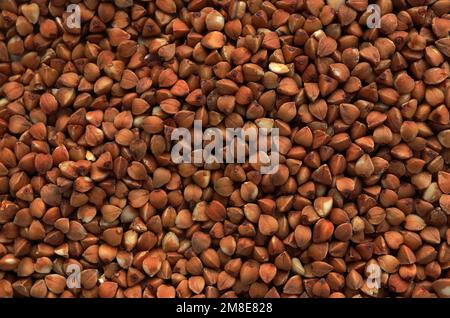 Nahaufnahme der trockenen braunen Buchweizensamen, die auf einer Ebenen Oberfläche liegen. Das Foto zeigt die feinen Details und die Textur des Produkts und der Dose Stockfoto