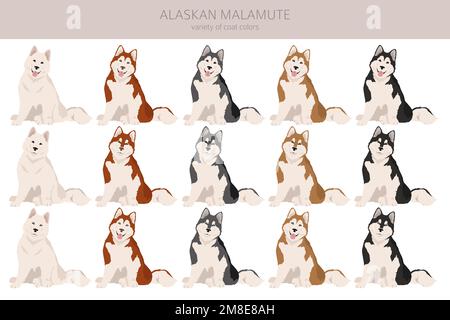 Alaskan Malamute alle Farben Clipart. Verschiedene Fellfarben und Posen eingestellt. Vektorgrafik Stock Vektor