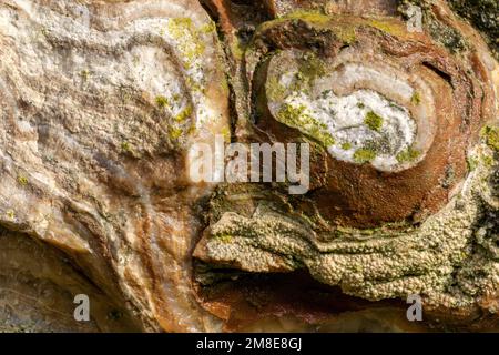 Strukturierter Naturstein in Beige mit grünen Punkten Stockfoto