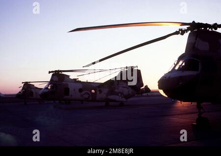 US Marine Corps CH-46s leitet einen Expeditionsflugplatz zusammen mit kurzfristiger Hilfsausrüstung und Hilfsgütern. Basis: Expeditionary Air Field Country: Saudi-Arabien (Sau) Stockfoto