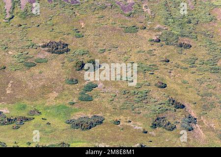 Alpengebiet im Norden Kanadas im Sommer mit weitläufigen Ausblicken auf die Gegend nahe der Grenze zu Alaska. Stockfoto