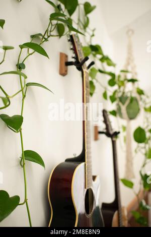 Nahaufnahme der Gitarren an der Wand mit Pflanzen in einem Makrame Plant Holder Stockfoto