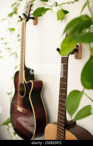 Nahaufnahme der Gitarren an der Wand mit grünen Pflanzen im Innenbereich Stockfoto