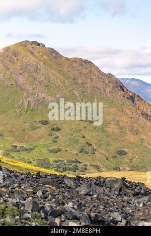 Alpengebiet im Norden Kanadas im Sommer mit weitläufigen Ausblicken auf die Gegend nahe der Grenze zu Alaska. Stockfoto