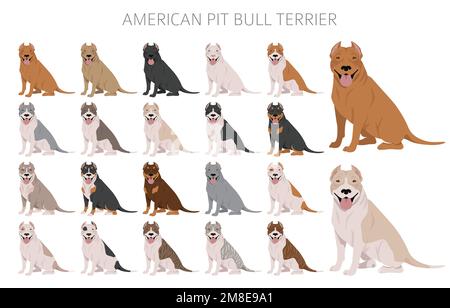 American Pit Bull Terrier Hunde Clipart. Farbvarianten, Infografik. Vektorgrafik Stock Vektor