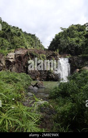 Wasserfall im El yunque Wald, Puerto Rico Stockfoto