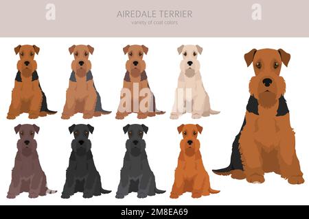 Airedale Terrier alle Farben treffen. Verschiedene Mantelfarben eingestellt. Vektordarstellung Stock Vektor