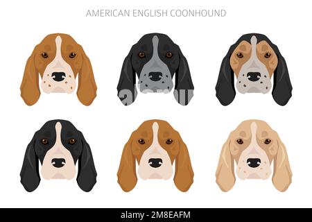 American englisn coonhound alle Farben Clipart. Verschiedene Fellfarben eingestellt. Vektorgrafik Stock Vektor