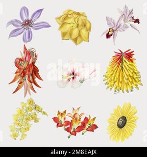 Bunte Blume handgezeichneter Set-Vektor Stock Vektor