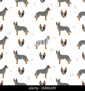 Australischer Rinderhund, alle Farben, nahtloses Muster. Vektordarstellung Stock Vektor
