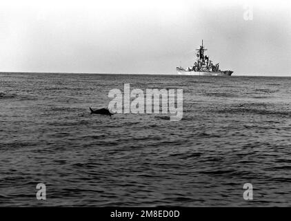 Eine irakische Mine schwebt in der Nähe des Schlachtschiff USS MISSOURI (BB-63), bevor sie von Mitgliedern des Teams zur Beseitigung von Sprengkörpern während der Operation Desert Shield detoniert wird. Betroffene Operation/Serie: WÜSTENSCHILD Land: Unbekannt Stockfoto