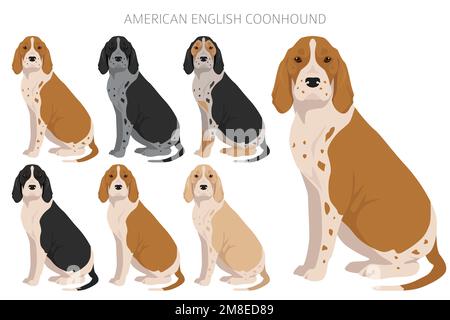 American englisn coonhound alle Farben Clipart. Verschiedene Fellfarben eingestellt. Vektorgrafik Stock Vektor