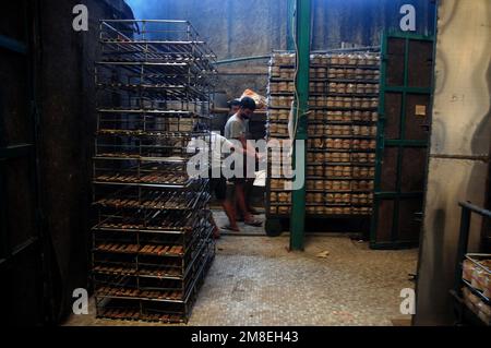 Depok, WEST JAVA, Indonesien. 12. Januar 2023. Arbeiter bereiten „Kue Keranjang“ (Korbkuchen) in einem traditionellen Kuchenmacher zu, der seit 35 Jahren in Depok, West Java, Indonesien, am 13. Januar 2023 in Betrieb ist. Klebriger Reis und Zucker und hat eine kaute und klebrige Konsistenz, die 15 Stunden gekocht wird. Vor den chinesischen Neujahrsfeiern stiegen die Verkäufe dieser Kuchen, insbesondere in der chinesischen Gemeinde in Indonesien. (Kreditbild: © Dasril Roszandi/ZUMA Press Wire) NUR REDAKTIONELLE VERWENDUNG! Nicht für den kommerziellen GEBRAUCH! Stockfoto