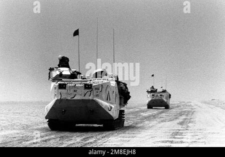 Zwei Amphibienfahrzeuge des Marine Corps AAVP-7A1 reisen durch die Kuwait-Wüste nach dem Abzug der irakischen Truppen während der Operation Desert Storm. Betreff Betrieb/Serie: WÜSTENSTURMLAND: Kuwait (KWT) Stockfoto